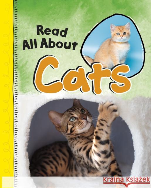 Read All About Cats Jaclyn Jaycox 9781398203174 Capstone Global Library Ltd - książka