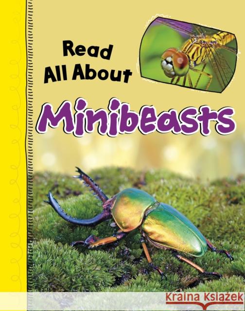Read All About Minibeasts Mae Respicio 9781398251335 Capstone Global Library Ltd - książka