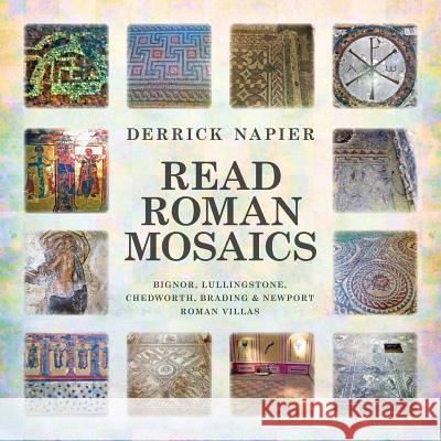 Read roman mosaics Napier, Derrick 9781910223468 UK Book Publishing - książka