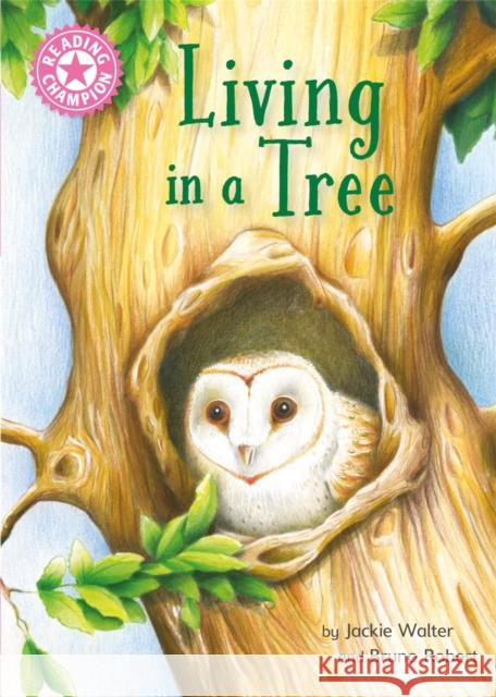 Reading Champion: Living in a Tree: Independent Reading Non-Fiction Pink 1a Jackie Walter 9781445175638 Hachette Children's Group - książka
