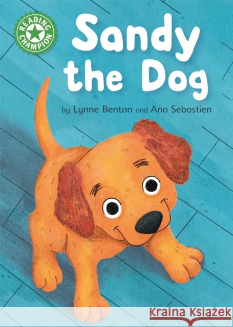 Reading Champion: Sandy the Dog: Independent Reading Green 5 Lynne Benton 9781445168678 Hachette Children's Group - książka