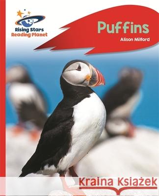 Reading Planet - Puffins - Red a: Rocket Phonics Alison Milford 9781471880018 Rising Stars - książka