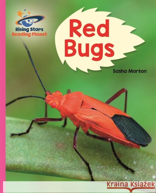Reading Planet - Red Bugs! - Pink B: Galaxy Sasha Morton 9781510486430 Rising Stars UK Ltd - książka