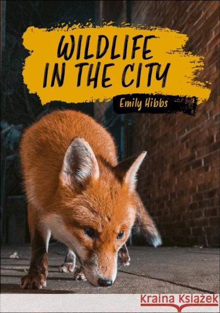 Reading Planet KS2: Wildlife in the City - Earth/Grey Emily Hibbs 9781398377370 Hodder Education - książka