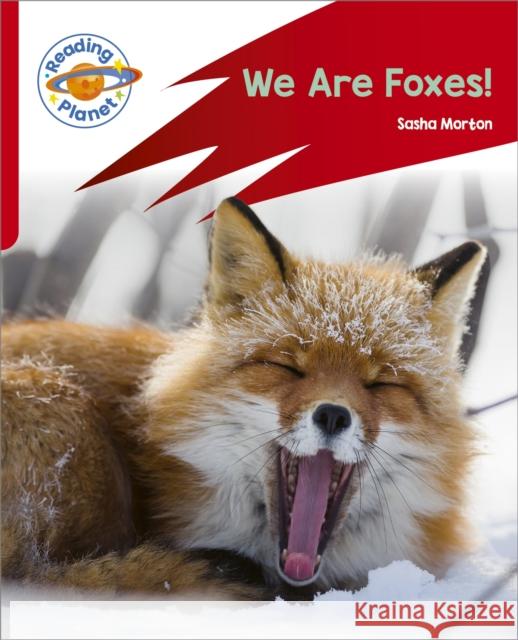 Reading Planet: Rocket Phonics – Target Practice - We Are Foxes - Red A Sasha Morton 9781398381803 Hodder Education - książka