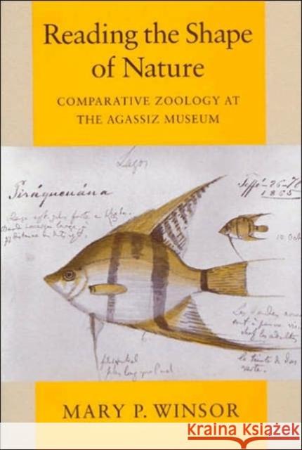 Reading the Shape of Nature: Comparative Zoology at the Agassiz Museum Winsor, Mary P. 9780226902159 University of Chicago Press - książka