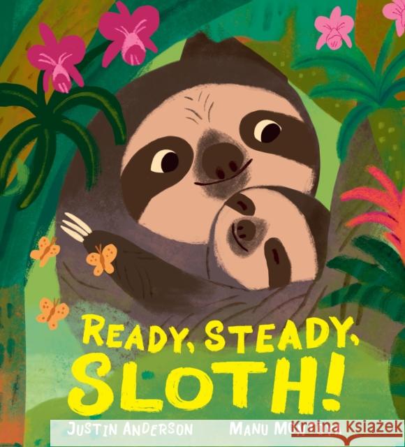Ready, Steady, Sloth! Justin Anderson 9781529516296 Walker Books Ltd - książka