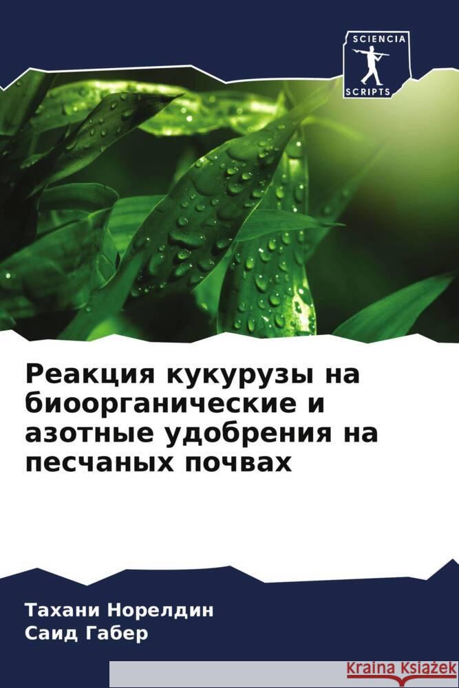 Reakciq kukuruzy na bioorganicheskie i azotnye udobreniq na peschanyh pochwah Noreldin, Tahani, Gaber, Said 9786206345589 Sciencia Scripts - książka