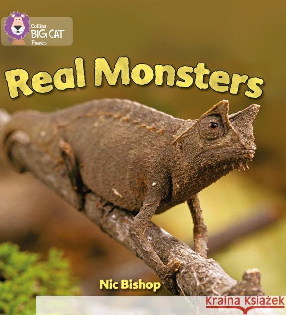 Real Monsters: Band 03/Yellow Nic Bishop 9780007235988 HarperCollins Publishers - książka