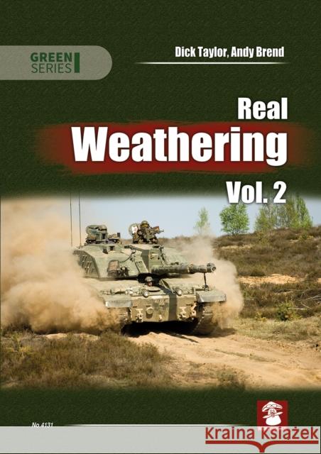 Real Weathering vol. 2 Dick Taylor 9788367227834 MMP - książka