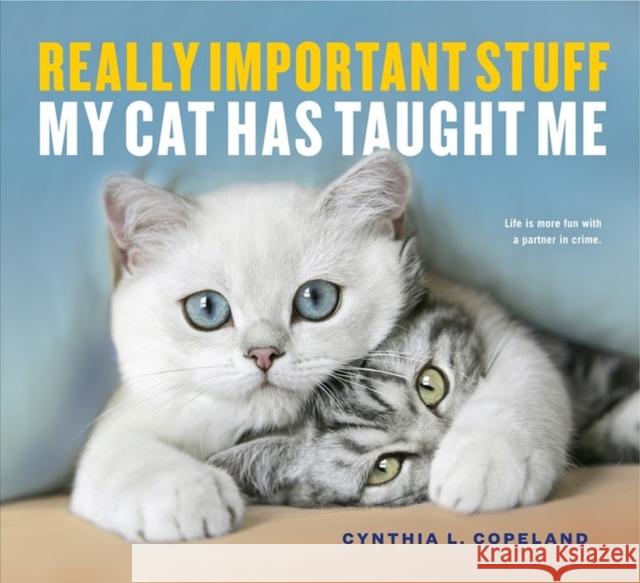 Really Important Stuff My Cat Has Taught Me Cynthia L. Copeland 9781523501489 Workman Publishing - książka