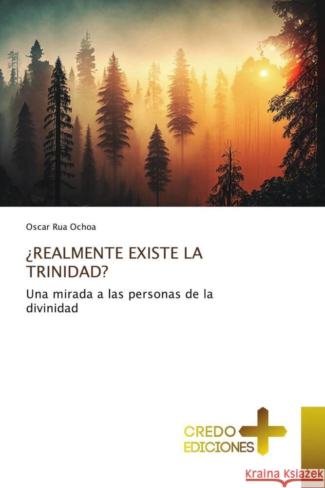 ¿REALMENTE EXISTE LA TRINIDAD? Rua Ochoa, Oscar 9783639521429 CREDO EDICIONES - książka