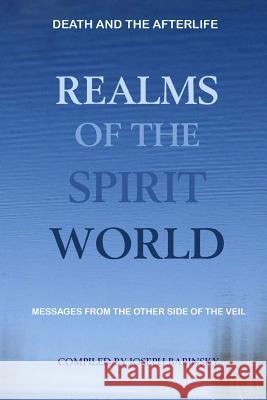 Realms of the Spirit World Various, Joseph Babinsky (Editor) 9781387370382 Lulu.com - książka