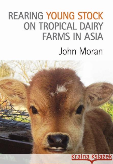 Rearing Young Stock on Tropical Dairy Farms in Asia John Moran   9780643107427 CSIRO Publishing - książka