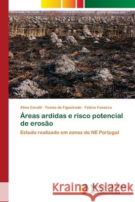 Áreas ardidas e risco potencial de erosão Cavalli, Aline 9786202038713 Novas Edicioes Academicas - książka