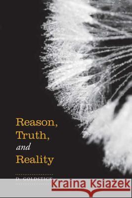 Reason, Truth, and Reality Dan Goldstick 9780802095947 TORONTO UNIVERSITY PRESS - książka