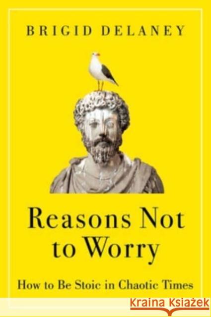 Reasons Not to Worry: How to Be Stoic in Chaotic Times Brigid Delaney 9780063314825 HarperCollins - książka