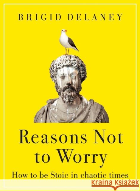 Reasons Not to Worry: How to be Stoic in chaotic times Brigid Delaney 9780349436302 Little, Brown Book Group - książka
