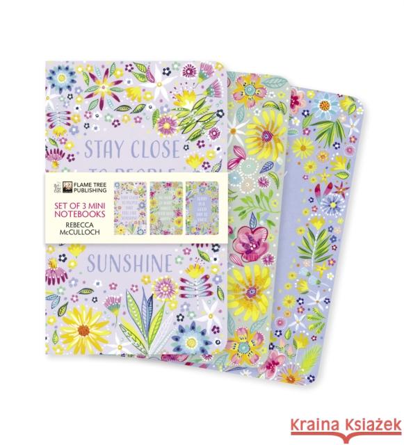 Rebecca McCulloch: Positivity Set of 3 Mini Notebooks  9781839647178 Flame Tree Gift - książka