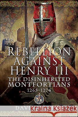 Rebellion Against Henry III: The Disinherited Montfortians, 1265-1274 David Pilling 9781526763204 Pen and Sword History - książka