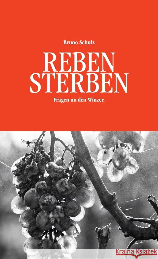 REBENSTERBEN Schulz, Bruno 9789403864198 Bookmundo - książka