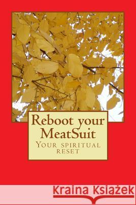 Reboot your MeatSuit: Your Spiritual Reset McKenzie, Steven Jay 9781494989682 Createspace - książka