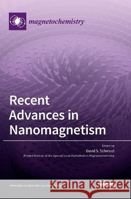Recent Advances in Nanomagnetism David S. Schmool 9783036557731 Mdpi AG - książka