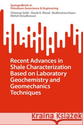 Recent Advances in Shale Characterization Based on Laboratory Geochemistry and Geomechanics Techniques Chinmay Sethi David a. Wood Bodhisatwa Hazra 9783032039606 Springer - książka