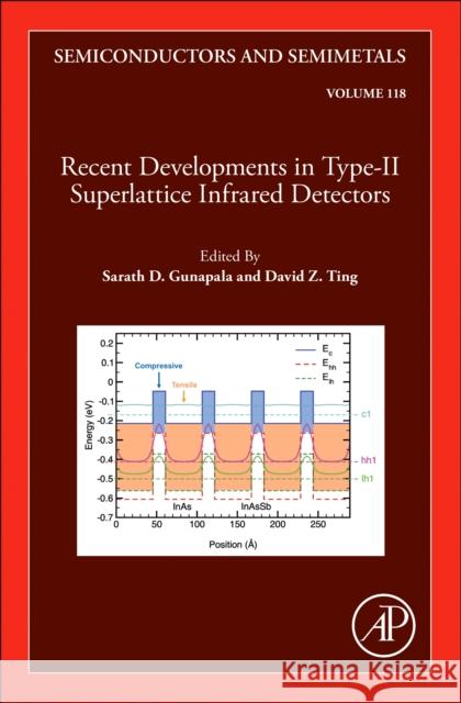 Recent Developments in the Field of IR Detectors: Volume 118 Sarath Gunapala David Ting 9780443344893 Academic Press - książka