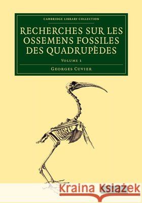 Recherches Sur Les Ossemens Fossiles Des Quadrupèdes Cuvier, Georges 9781108083751 Cambridge University Press - książka