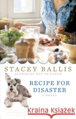 Recipe for Disaster Stacey Ballis 9780425265505 Berkley Publishing Group - książka