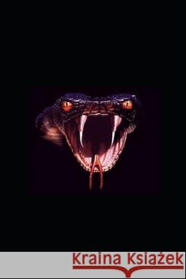 Reckless - Encounter Mark a. Cyphers 9781983029578 Independently Published - książka