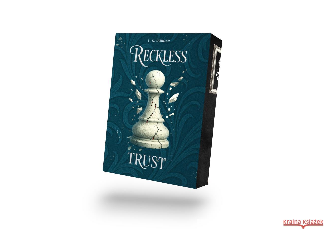Reckless Trust Dündar, L.S. 9783691400175 LogiXperts - książka