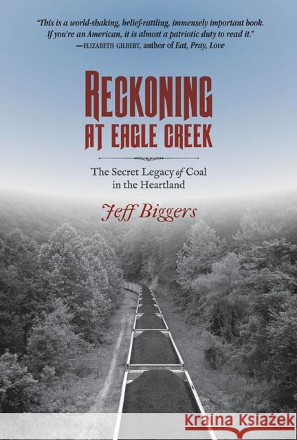 Reckoning at Eagle Creek: The Secret Legacy of Coal in the Heartland Biggers, Jeff 9780809333868 Southern Illinois University Press - książka