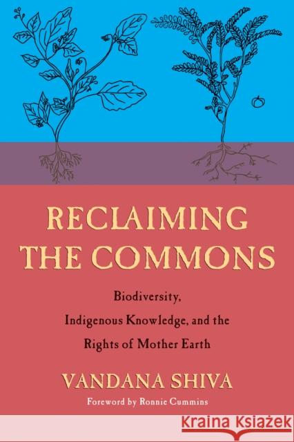 Reclaiming the Commons: Biodiversity, Traditional Knowledge, and the Rights of Mother Earth  9780907791782 Synergetic Press Inc.,U.S. - książka