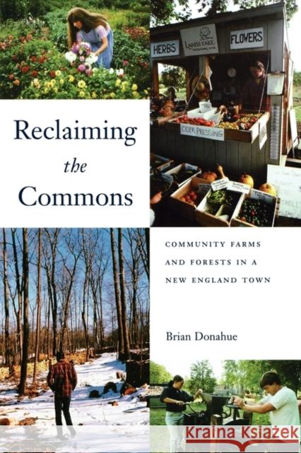 Reclaiming the Commons: Community Farms and Forests in a New England Town Donahue, Brian 9780300089127 Yale University Press - książka