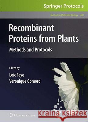 Recombinant Proteins from Plants: Methods and Protocols Faye, Loïc 9781588299789 Humana Press - książka