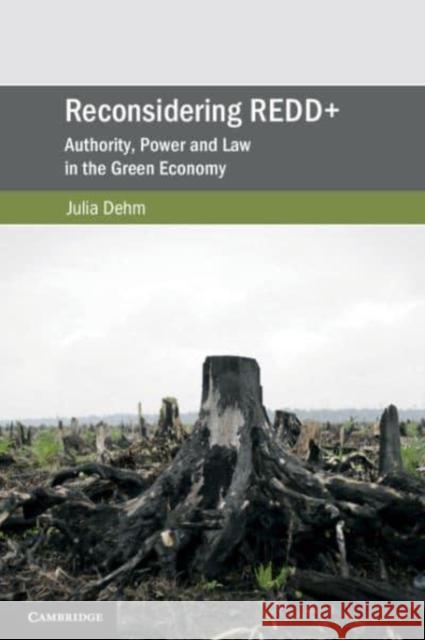 Reconsidering Redd+: Authority, Power and Law in the Green Economy Dehm, Julia 9781108438346 Cambridge University Press - książka