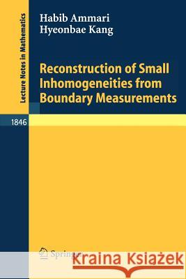 Reconstruction of Small Inhomogeneities from Boundary Measurements Habib Ammari, Hyeonbae Kang 9783540224839 Springer-Verlag Berlin and Heidelberg GmbH &  - książka