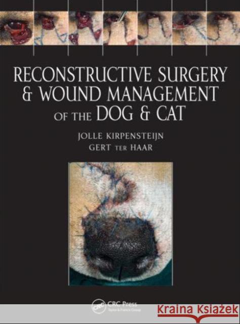 Reconstructive Surgery and Wound Management of the Dog and Cat Jolle Kirpensteijn 9781840761634 Manson Publishing Ltd - książka