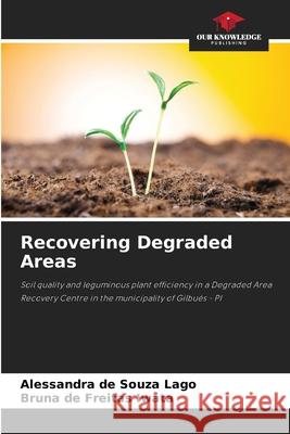 Recovering Degraded Areas Lago, Alessandra de Souza, Iwata, Bruna de Freitas 9786203898996 Our Knowledge Publishing - książka