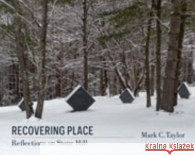 Recovering Place: Reflections on Stone Hill Taylor, Mark C. 9780231164986  - książka