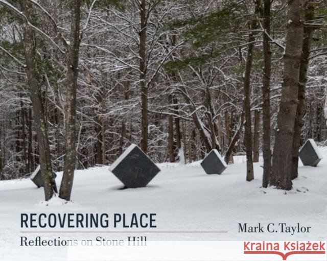 Recovering Place: Reflections on Stone Hill Mark C Taylor 9780231164993 University Press Group Ltd - książka