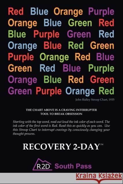 Recovery 2-Day (South Pass) I. D. Powers 9781935670148 Telemachus Press, LLC - książka
