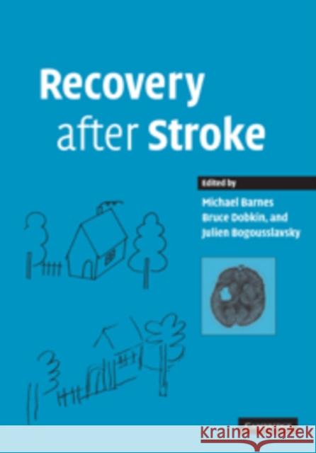 Recovery After Stroke Barnes, Michael P. 9780521105149  - książka