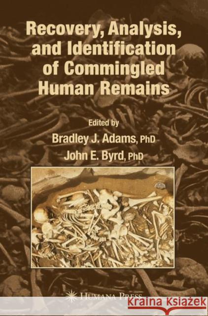 Recovery, Analysis, and Identification of Commingled Human Remains Bradley J. Adams John E. Byrd 9781617377655 Springer - książka