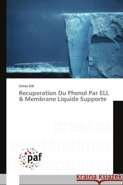 Recuperation Du Phenol Par ELL & Membrane Liquide Supporte Zidi, Chiraz 9783841628664 Presses Académiques Francophones - książka