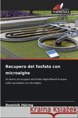 Recupero del fosfato con microalghe Häring, Dominik 9786200734884 Edizioni Sapienza - książka