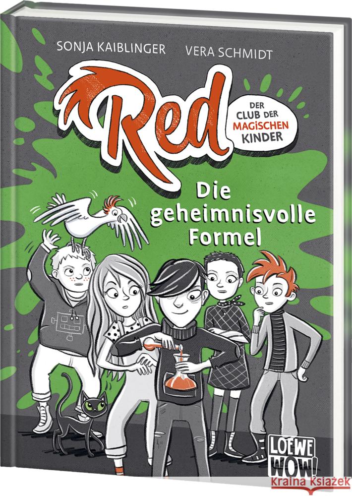 Red - Der Club der magischen Kinder (Band 3) - Die geheimnisvolle Formel Kaiblinger, Sonja 9783743204331 Loewe - książka