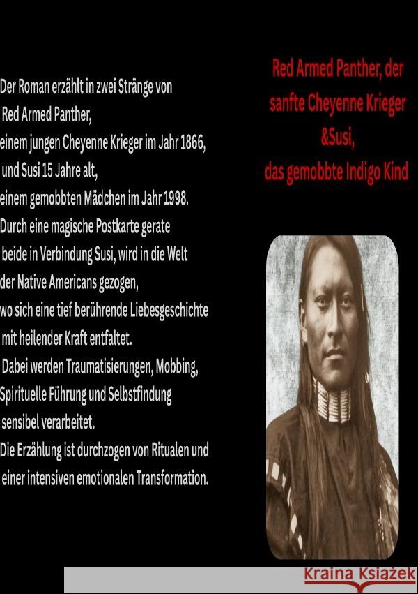 Red Armed Panther der sanfte Cheyenne Krieger &Susi, das gemobbte Indigokind Steinmetz, Susanne 9783565004904 epubli - książka